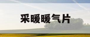 采暖暖气片(采暖暖气片价格)