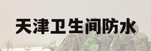 天津卫生间防水(天津卫生间防水板生产厂家)