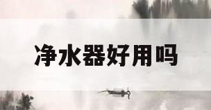 净水器好用吗(史密斯净水器好用吗)