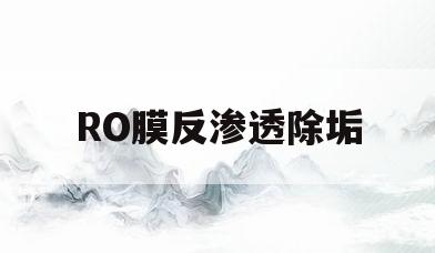 RO膜反渗透除垢(ro反渗透膜能过滤水垢吗)