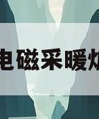 电磁采暖炉(电磁采暖炉厂家搜江信电磁)