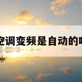 空调变频是自动的吗(变频空调是自动省电还是制冷省电)