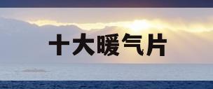 十大暖气片(十大暖气片排名是谁 前十名)