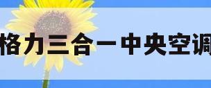 格力三合一中央空调(格力三合一中央空调能连续开多久)