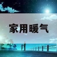 家用暖气(家用暖气锅炉十大排名)