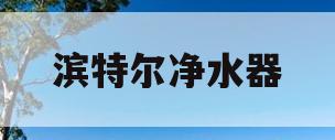 滨特尔净水器(滨特尔净水器滤芯多久换一次)