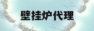 壁挂炉代理(壁挂炉代理加盟)