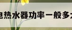 电热水器功率一般多大(储水电热水器功率一般多大)