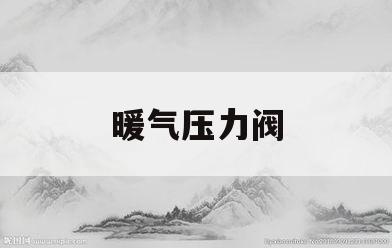 暖气压力阀(暖气压力阀多少正常)