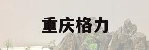 重庆格力(重庆格力电器有限公司)