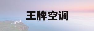 王牌空调(王牌空调属于什么牌子)