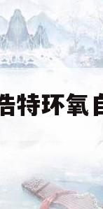 呼和浩特环氧自流平(呼和浩特自流平水泥砂浆品牌)