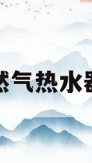 然气热水器(燃气热水器十大公认品牌排行榜)