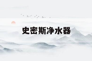 史密斯净水器(史密斯净水器滤芯1到5价格表)