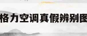 格力空调真假辨别图(格力空调真假辨别图片)