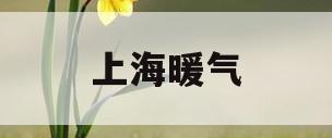 上海暖气(上海暖气片公司)