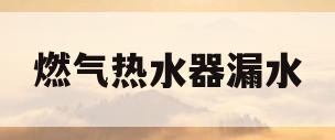 燃气热水器漏水(燃气热水器漏水维修视频教程)