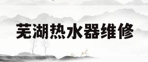 芜湖热水器维修(芜湖市燃气热水器维修)