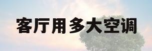 客厅用多大空调(三十平客厅用多大空调)