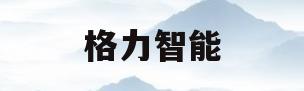 格力智能(格力智能制造有限公司)