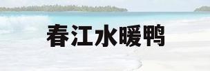 春江水暖鸭(春江水暖鸭先知的理解)
