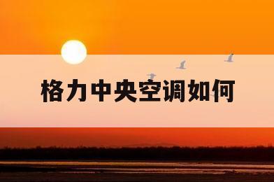 格力中央空调如何(格力中央空调如何清洗过滤网)