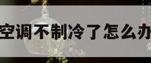 空调不制冷了怎么办(单制冷空调不制冷了怎么办)
