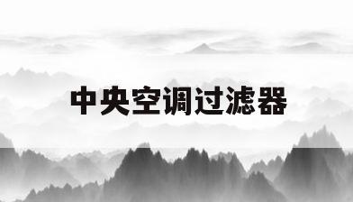 中央空调过滤器(中央空调过滤器清洗图片)