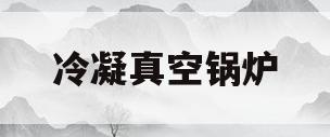 冷凝真空锅炉(冷凝真空锅炉原理图)