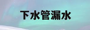 下水管漏水(下水管漏水是业主维修还是物业维修)