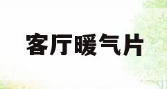 客厅暖气片(客厅暖气片放哪里合适)