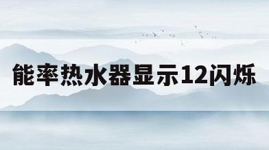 能率热水器显示12闪烁(能率热水器出现11闪烁,关了再开,由好了)