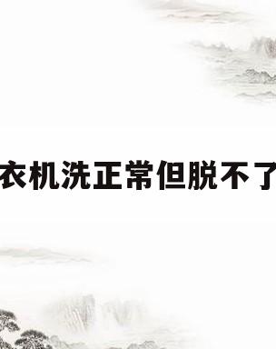 洗衣机洗正常但脱不了水(小天鹅洗衣机洗正常但脱不了水)