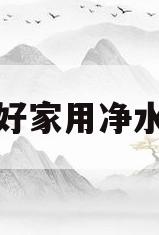 最好家用净水器(最好的家用净水器是什么牌子的)