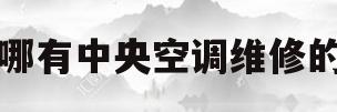 哪有中央空调维修的(哪有中央空调维修的店)