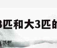 空调3匹和大3匹的区别(空调3匹和大3匹一样吗?)