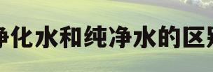 净化水和纯净水的区别(净化水和普通水有什么区别)