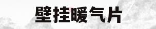 壁挂暖气片(壁挂暖气片安装图片)
