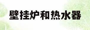 壁挂炉和热水器(壁挂炉和热水器哪个实用)