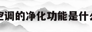 空调的净化功能是什么(空调的净化功能是什么功能)