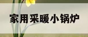 家用采暖小锅炉(家用采暖小锅炉暖气片必须安装自动自动排气阀吗)