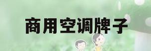 商用空调牌子(商用空调怎么选)
