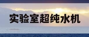 实验室超纯水机(实验室超纯水机十大品牌)