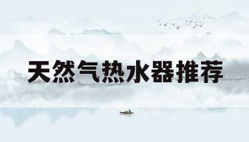 天然气热水器推荐(天然气热水器什么牌子最好)