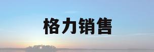 格力销售(格力销售模式)