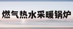 燃气热水采暖锅炉(燃气热水采暖锅炉怎么用)