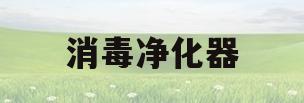 消毒净化器(消毒净化器对新冠有用吗)