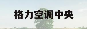 格力空调中央(格力空调中央空调一拖四大概多少钱)