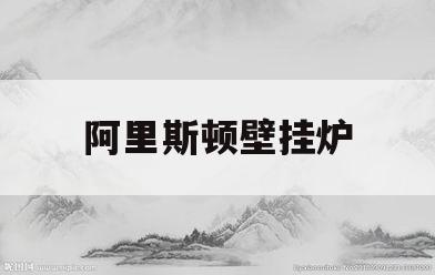 阿里斯顿壁挂炉(阿里斯顿壁挂炉使用方法图解)