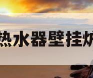 热水器壁挂炉(燃气热水器壁挂炉)